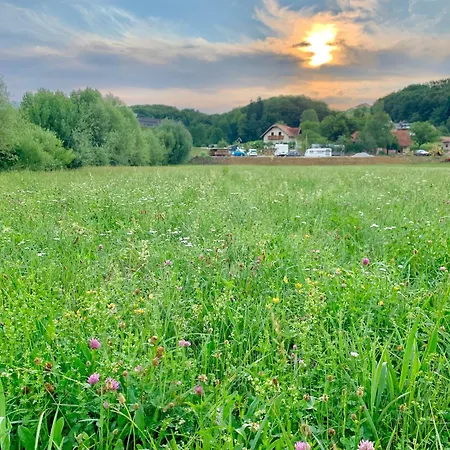 营地 Bee Happy Podlehnik