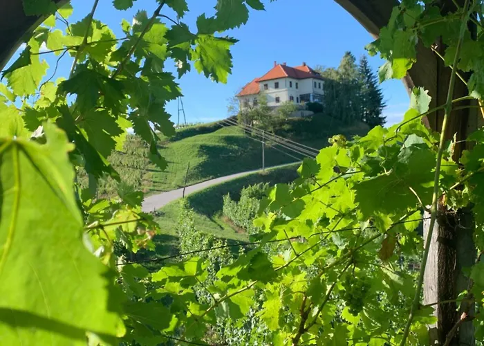 مكان تخييم Bee Happy