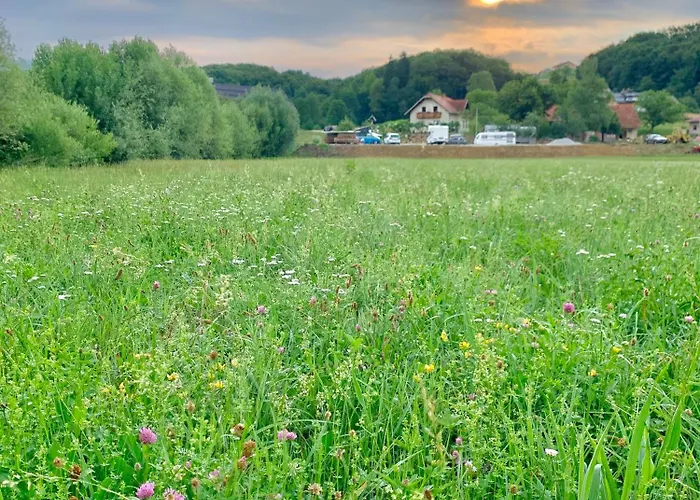 مكان تخييم Bee Happy Podlehnik